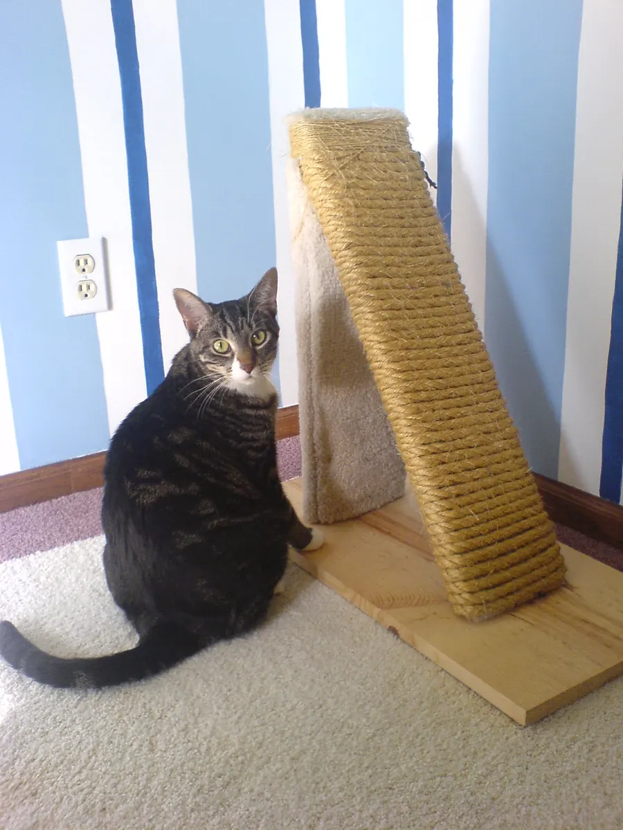 Cat scratching post, sisal