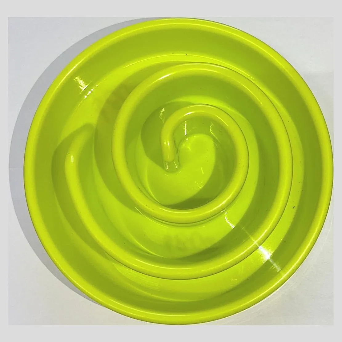 Slow feeder dog bowl
