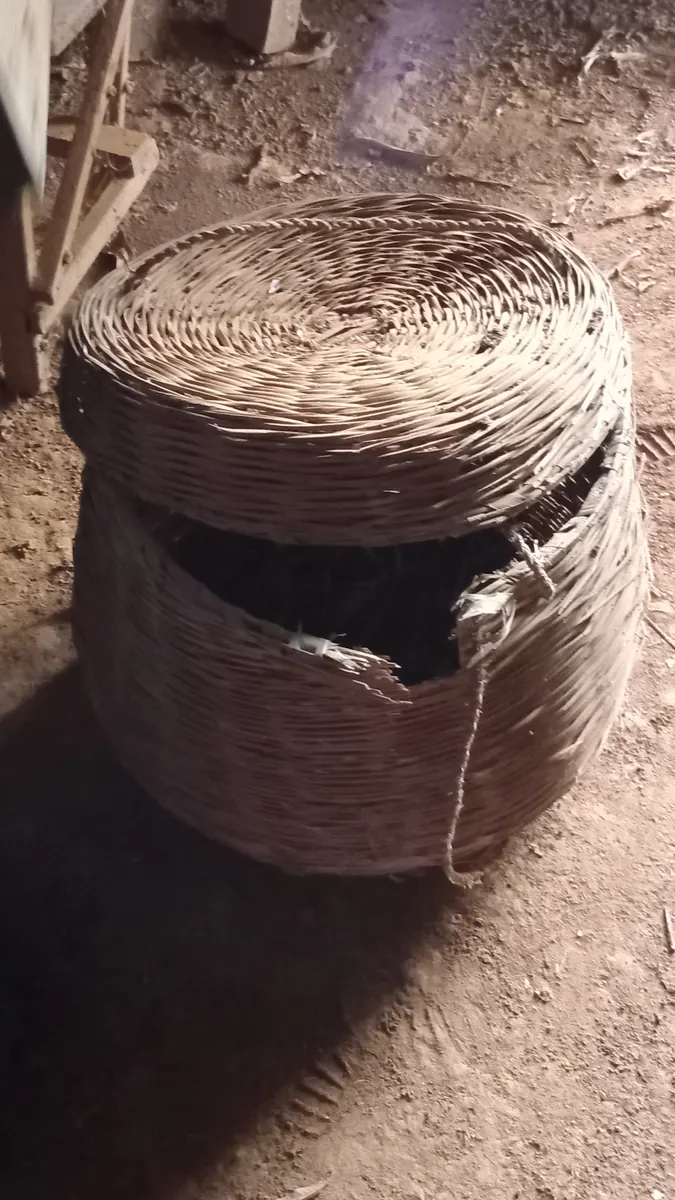 Seagrass storage basket